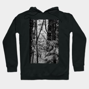 snowy Oregon forest 3 Hoodie